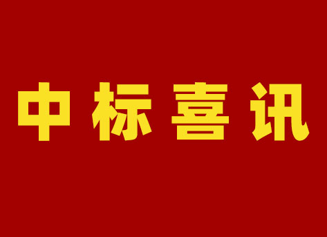 國網(wǎng)新疆電力有限公司2024年第二次配網(wǎng)物資協(xié)議庫存公開招標采購項目中標結果公告